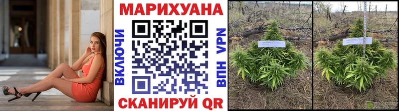 Конопля индика  где продают   Алапаевск 
